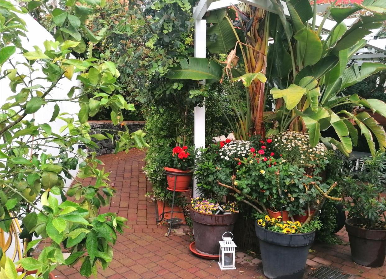 La Foresteria Garden Boutique B&B 卡塔尼亚 外观 照片