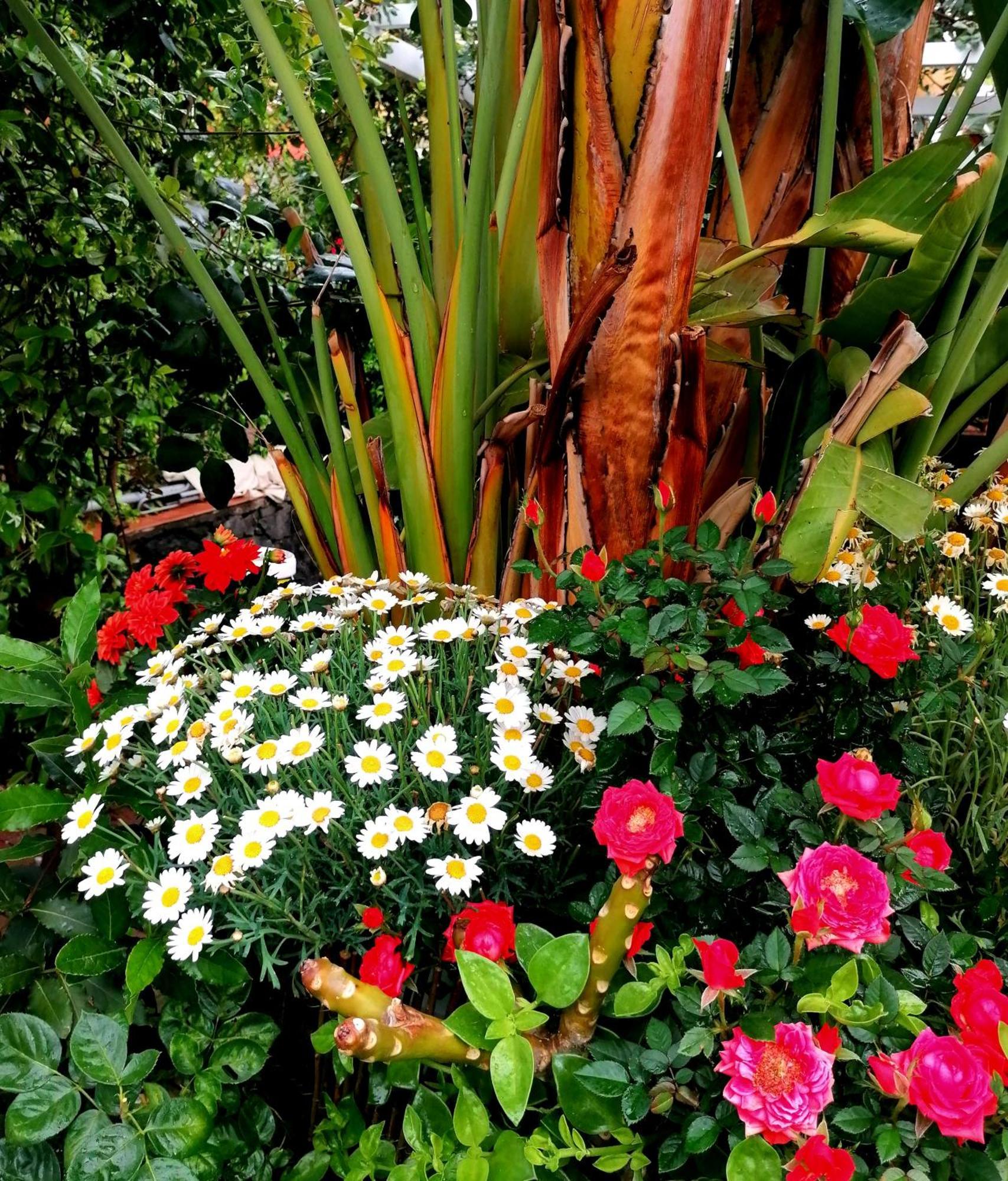 La Foresteria Garden Boutique B&B 卡塔尼亚 外观 照片