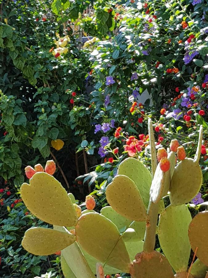 La Foresteria Garden Boutique B&B 卡塔尼亚 外观 照片